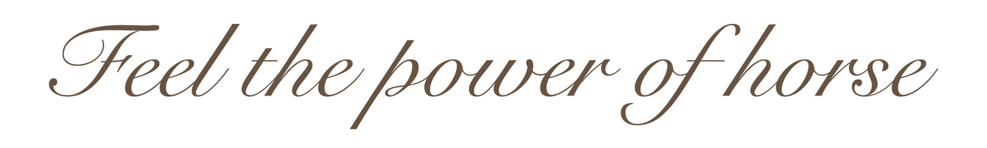 Feel the Power of Horse